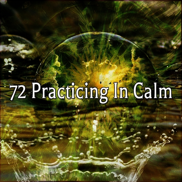 72 Practicing in Calm