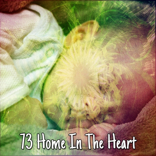 73 Home In the Heart
