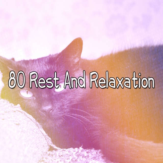 Couverture de 80 Rest and Relaxation