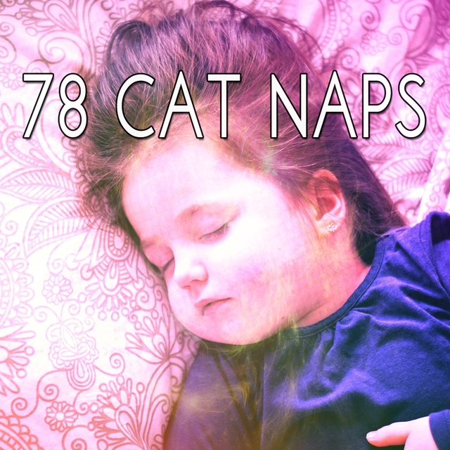 78 Cat Naps