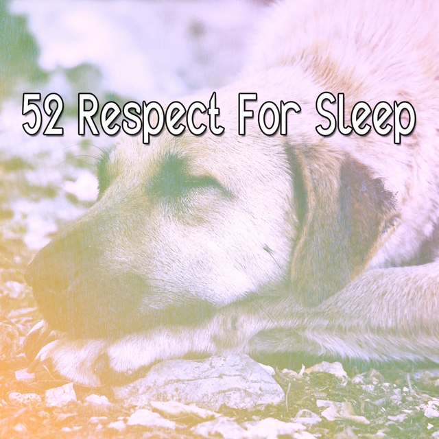 Couverture de 52 Respect for Sleep