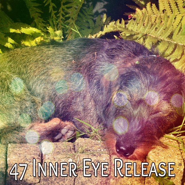 47 Inner Eye Release