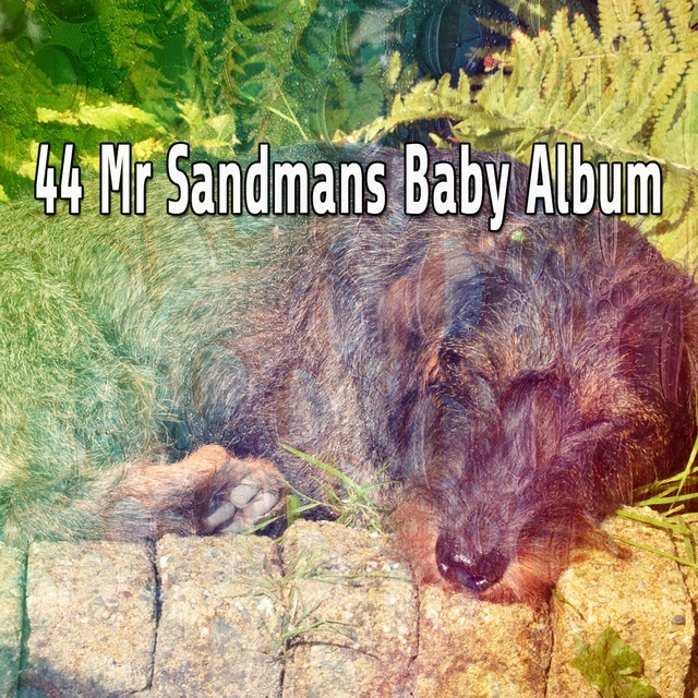 44 Mr Sandmans Baby Album