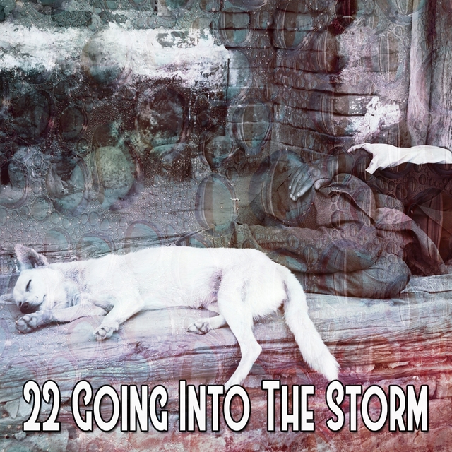 22 Going Into the Storm