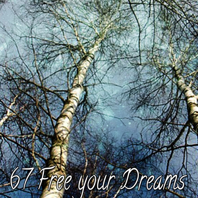 67 Free Your Dreams