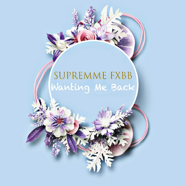 Couverture de Wanting Me Back