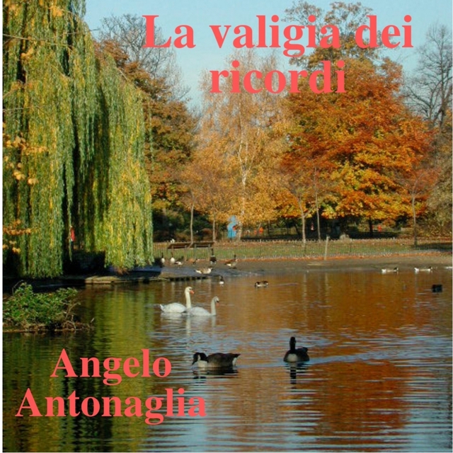 Couverture de La valigia dei ricordi