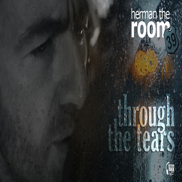 Couverture de Through the Tears