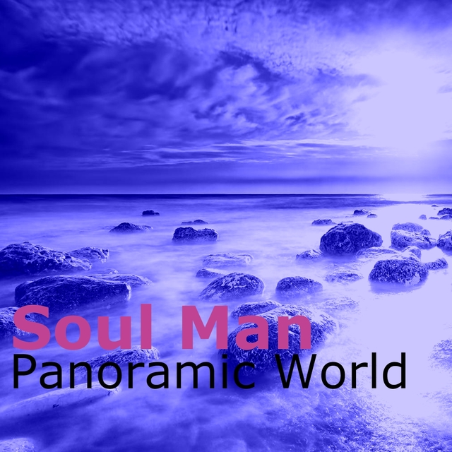 Couverture de Panoramic World