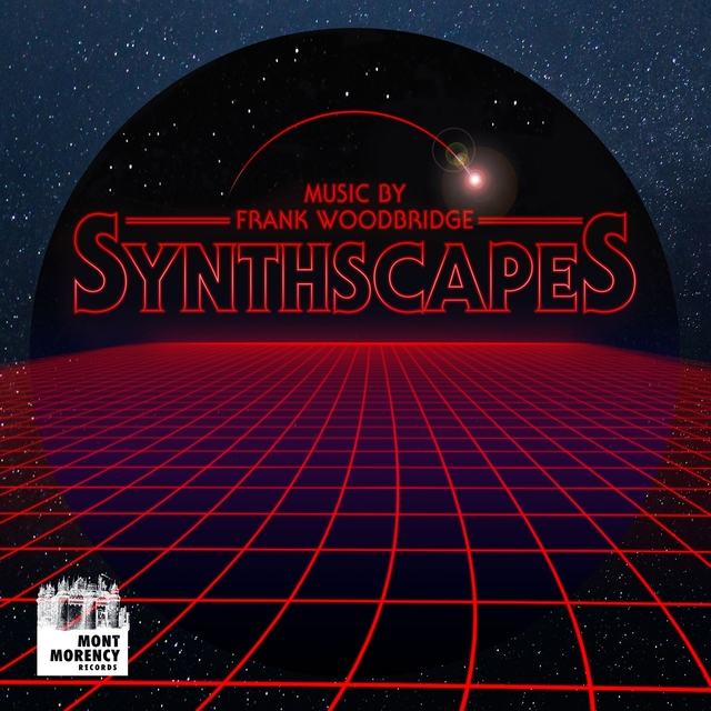 Couverture de Synthscapes