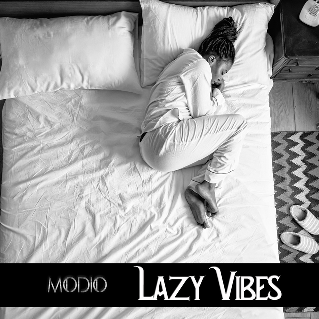 Couverture de Lazy Vibes