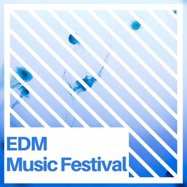 EDM MUSIC FESTIVAL