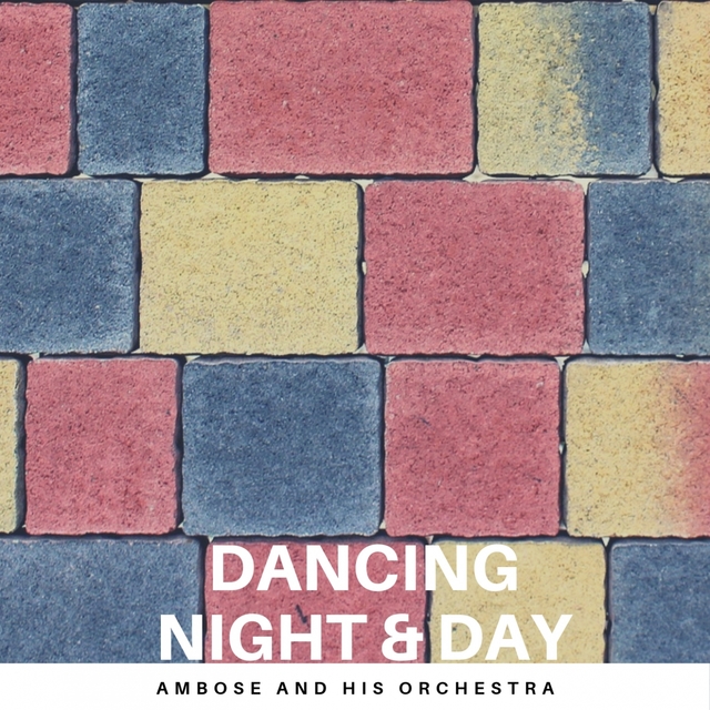 Couverture de Dancing Night & Day