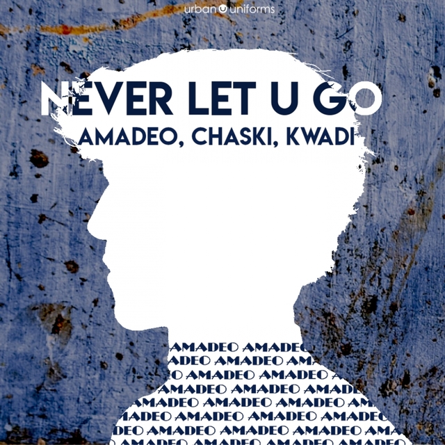 Couverture de Never Let U Go