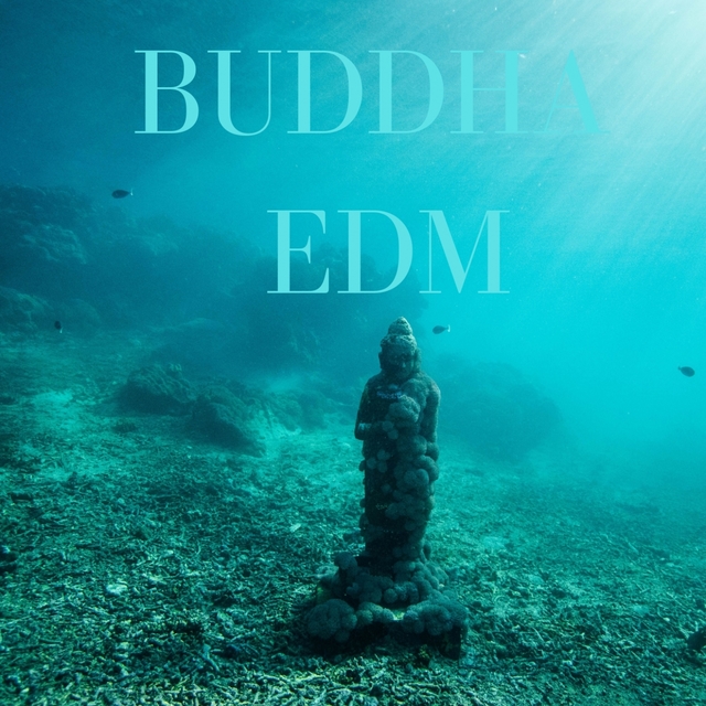 BUDDHA EDM