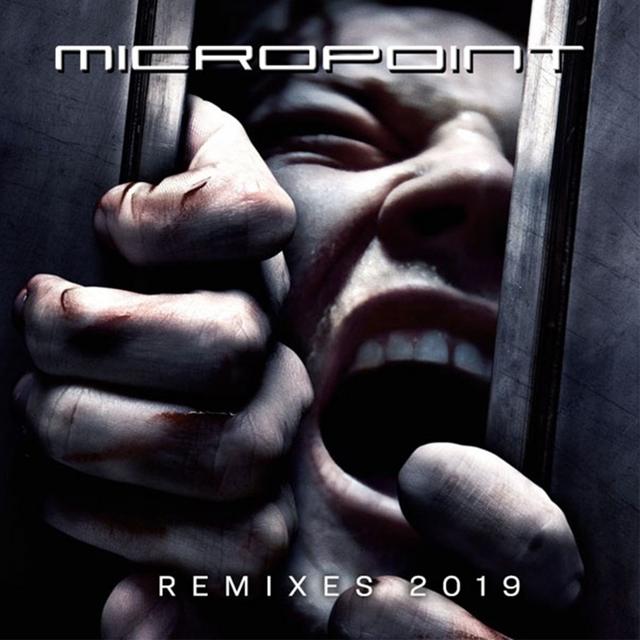 Couverture de Micropoint Remixes 2019