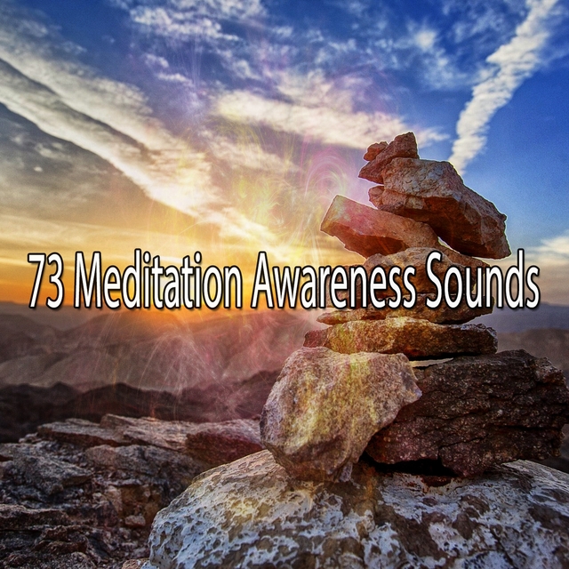 Couverture de 73 Meditation Awareness Sounds
