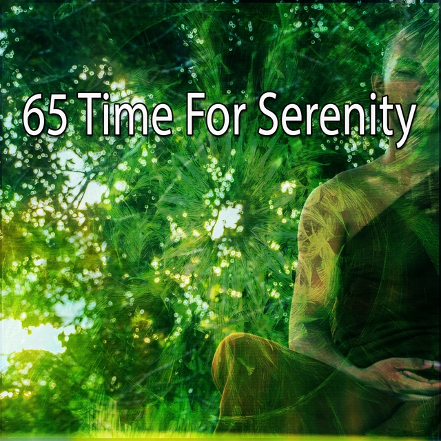 Couverture de 65 Time for Serenity