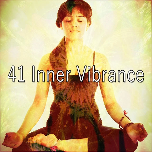 Couverture de 41 Inner Vibrance