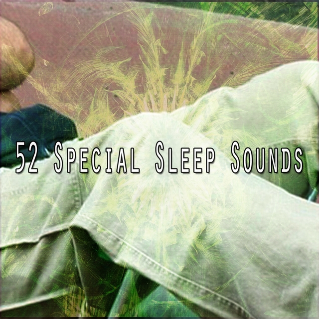 Couverture de 52 Special Sleep Sounds