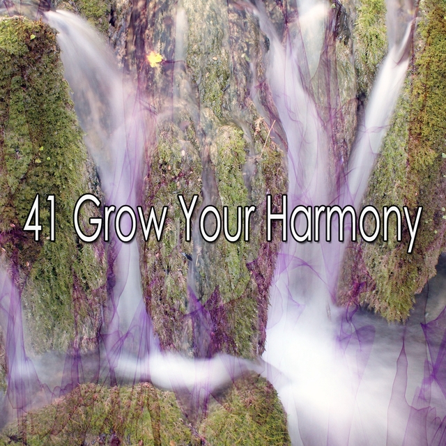 Couverture de 41 Grow Your Harmony