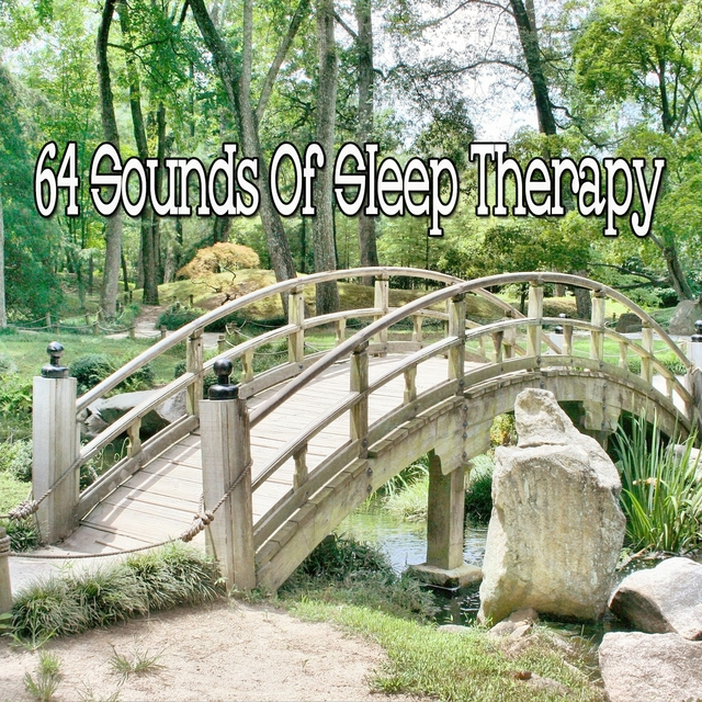 Couverture de 64 Sounds of Sleep Therapy