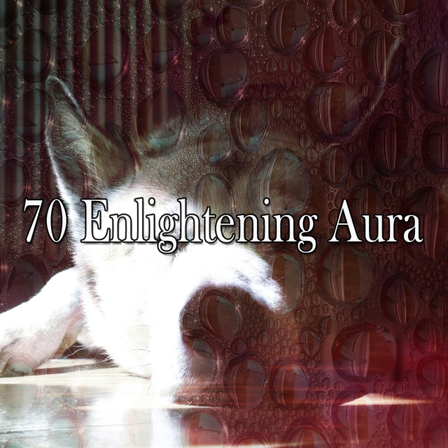 Couverture de 70 Enlightening Aura