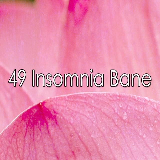 Couverture de 49 Insomnia Bane