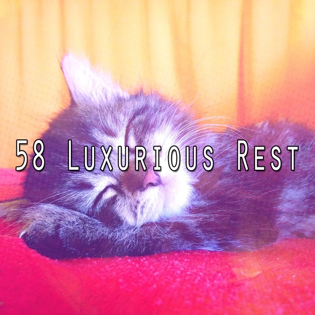 58 Luxurious Rest
