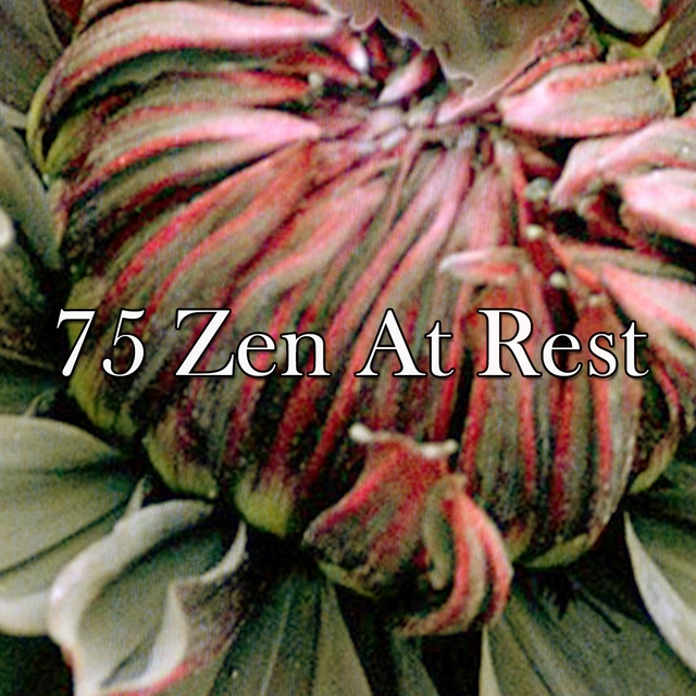 75 Zen at Rest