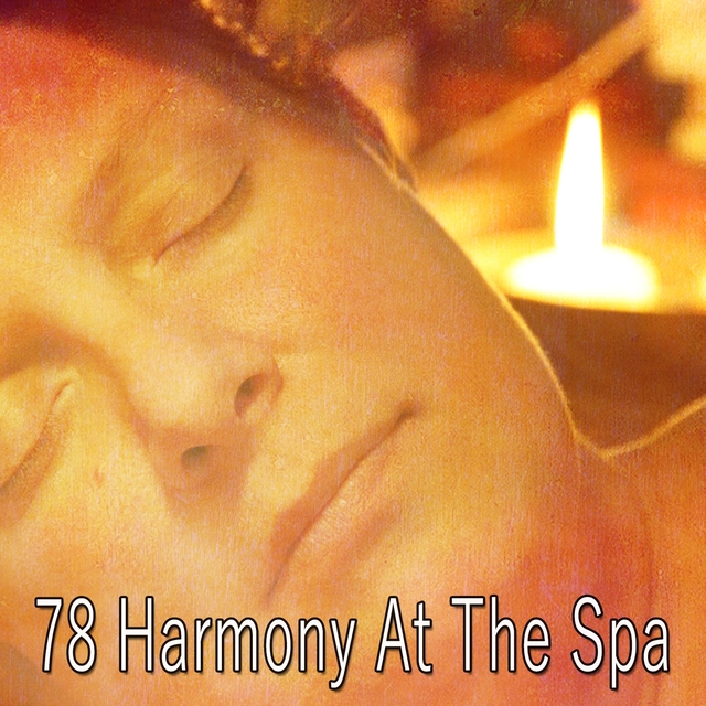 78 Harmony at the Spa