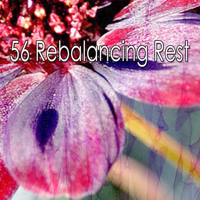 56 Rebalancing Rest