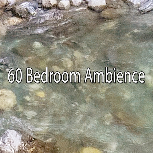 60 Bedroom Ambience