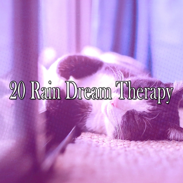 Couverture de 20 Rain Dream Therapy