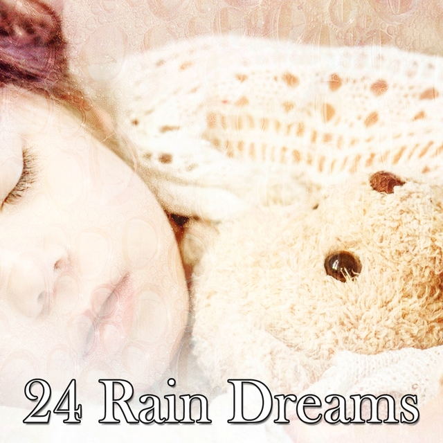 Couverture de 24 Rain Dreams