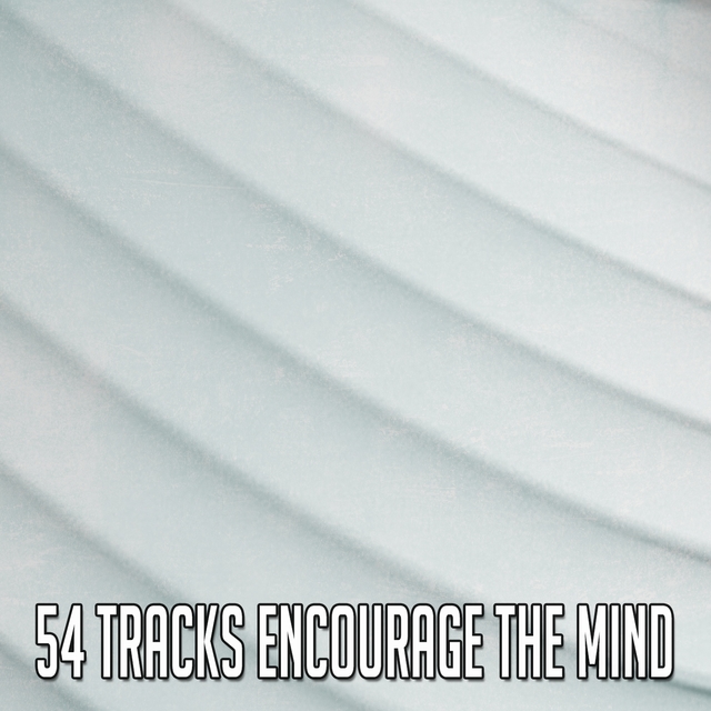 Couverture de 54 Tracks Encourage the Mind