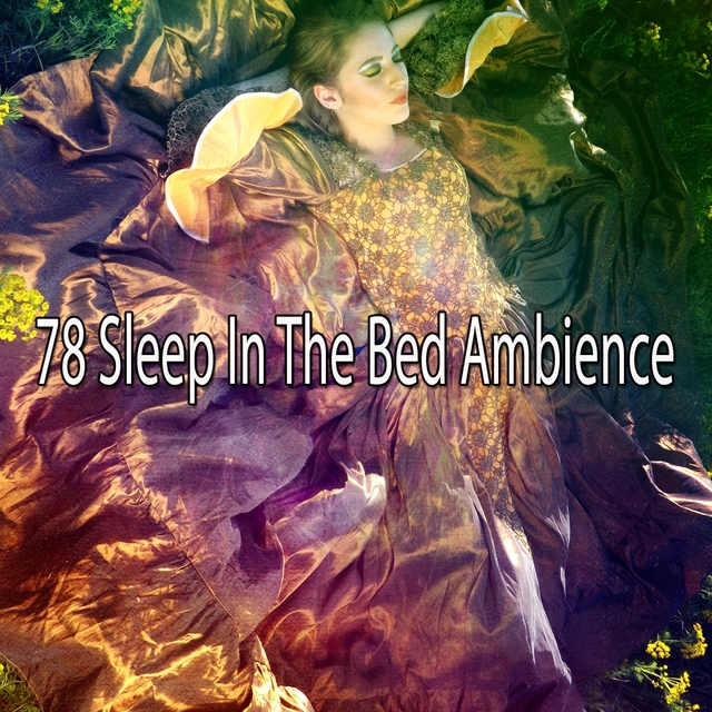 Couverture de 78 Sleep in the Bed Ambience