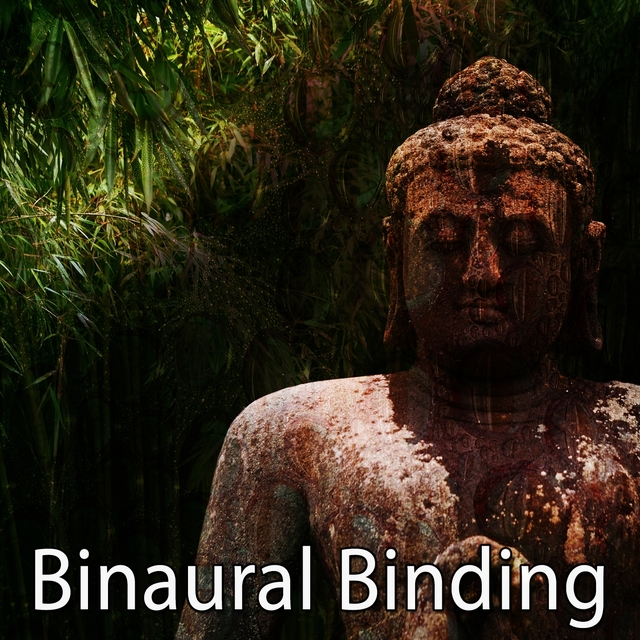 Couverture de Binaural Binding