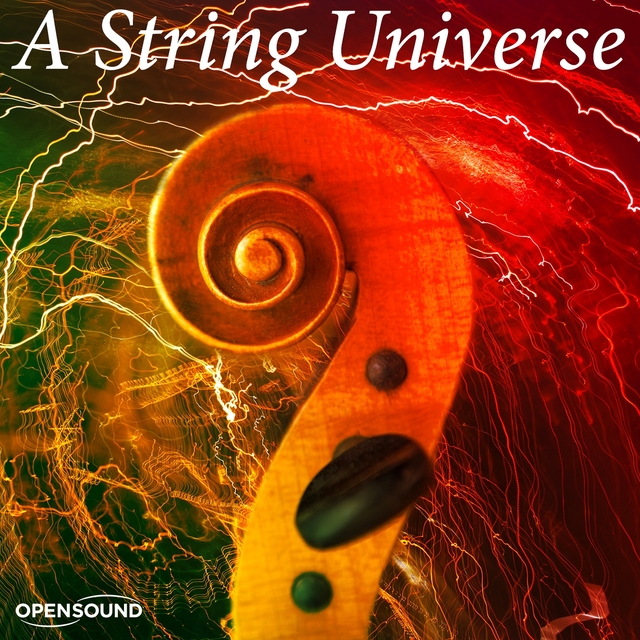 Couverture de A String Universe