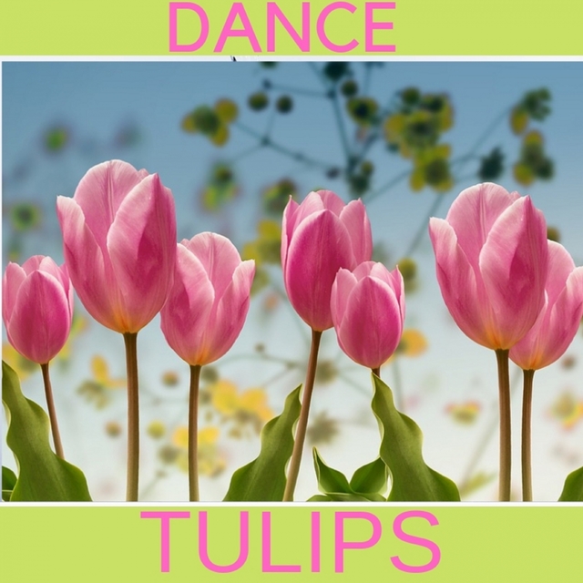 DANCE TULIPS