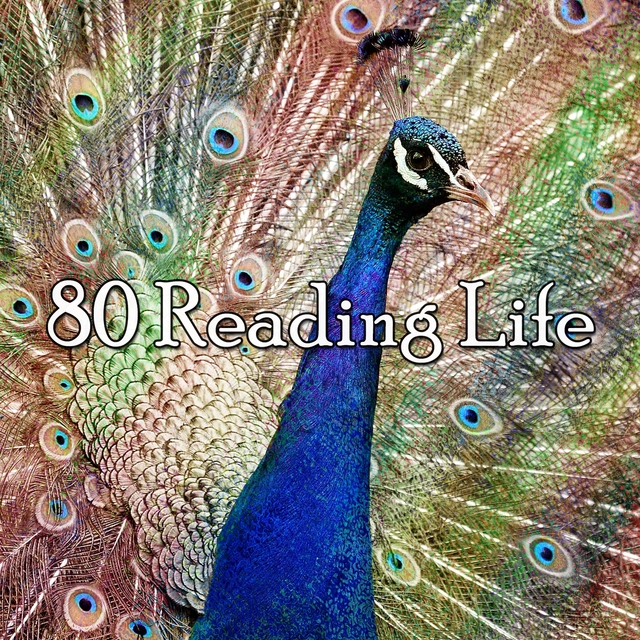 80 Reading Life
