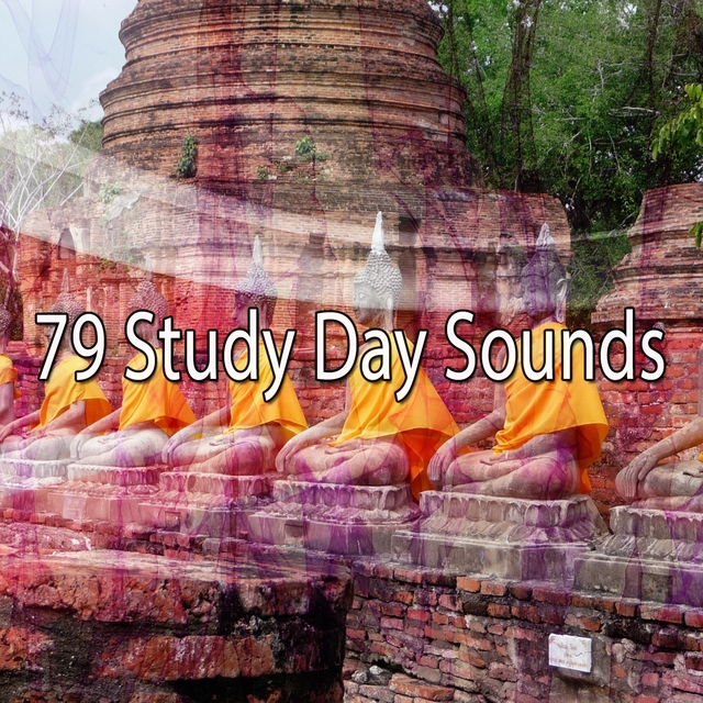 Couverture de 79 Study Day Sounds