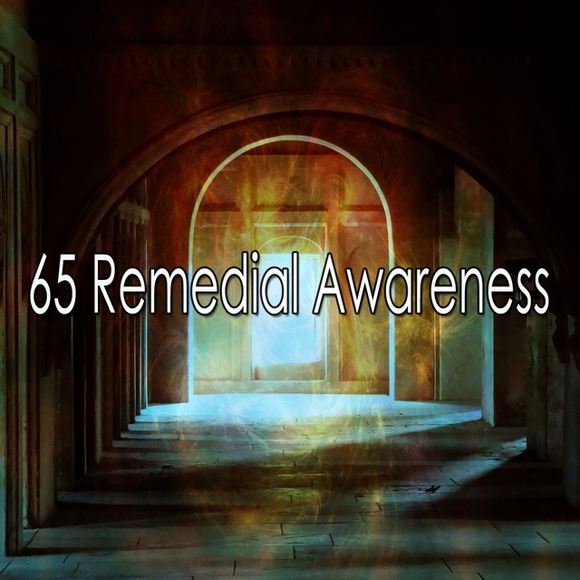 Couverture de 65 Remedial Awareness