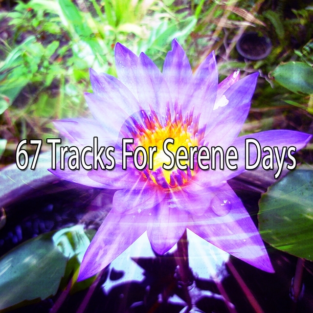 Couverture de 67 Tracks for Serene Days