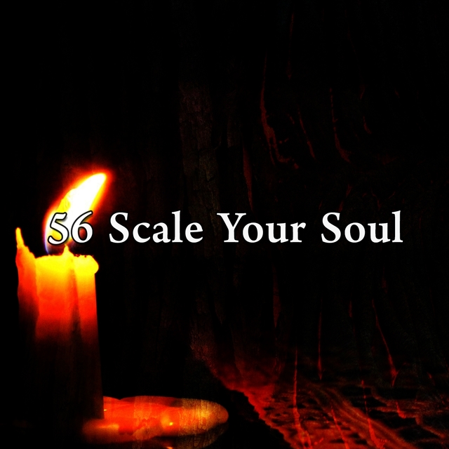 Couverture de 56 Scale Your Soul