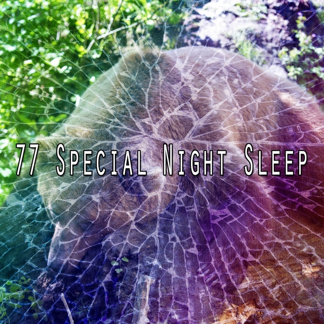 Couverture de 77 Special Night Sleep
