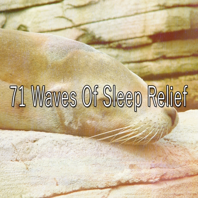 71 Waves of Sleep Relief