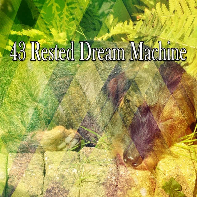 43 Rested Dream Machine