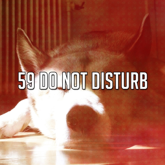 Couverture de 59 Do Not Disturb