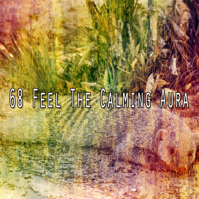 Couverture de 68 Feel the Calming Aura